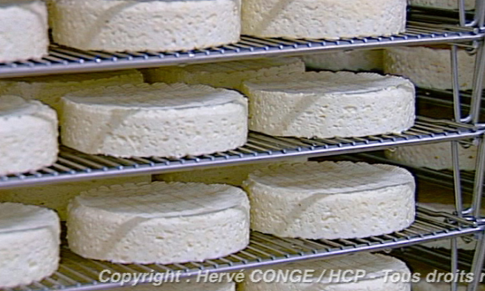 La fabrication industrielle des fromages à pâte molle - extrait  - gryphea.com